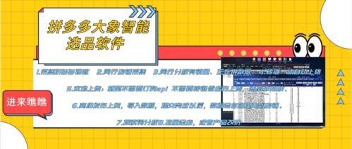 拼多多店群生態全解析 軟件代理、后臺招商與加盟機遇